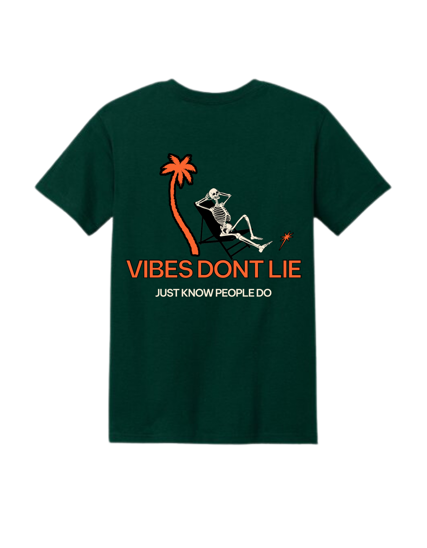 Vibes Don't Lie T-Shirt